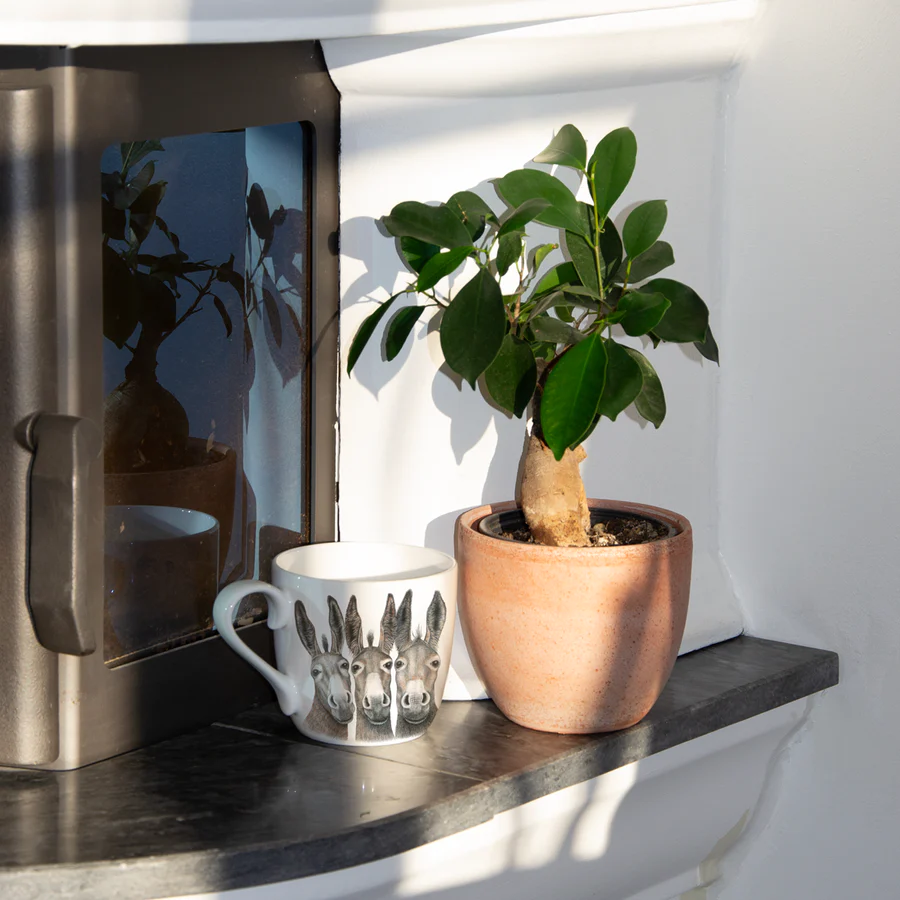 Mug porcelaine motif Los Amigo