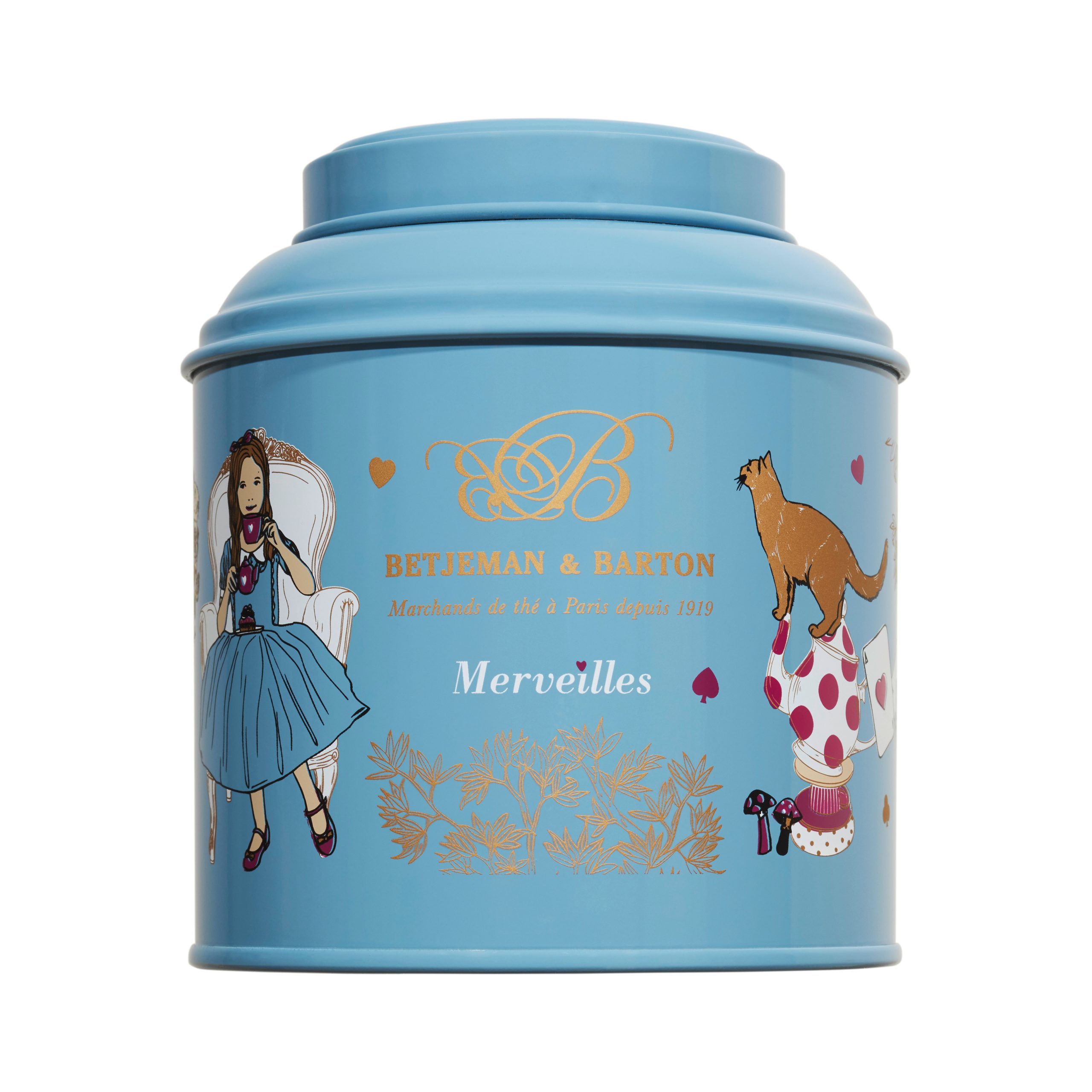 Honeybush en boite “Merveilles