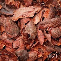 Infusion Cocao Los Ancones Org