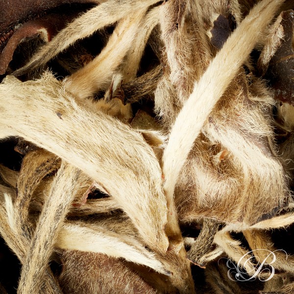 Thé blanc Moonlight (Pu-ehr) e