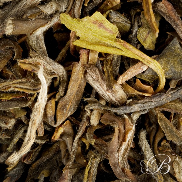 Thé blanc Chine White Monkey (