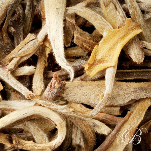 Thé blanc Chine blanc Yin Zhen