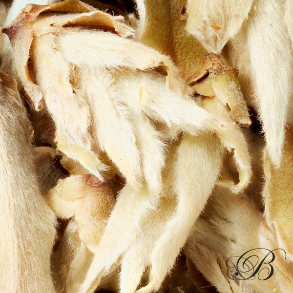 Thé Chine Wild Tea Buds en paq