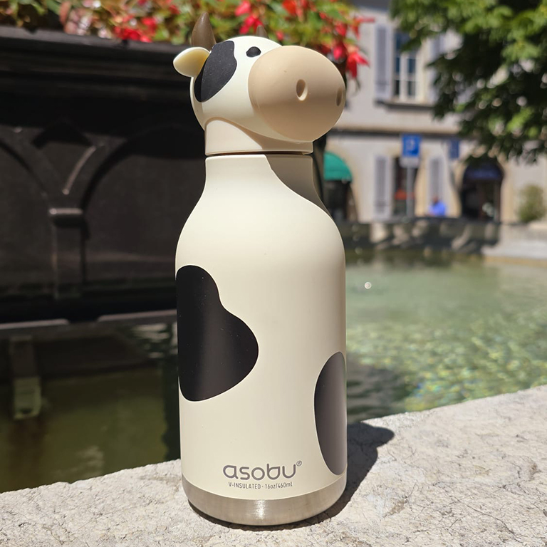 Bouteille thermos Bestie Bottl